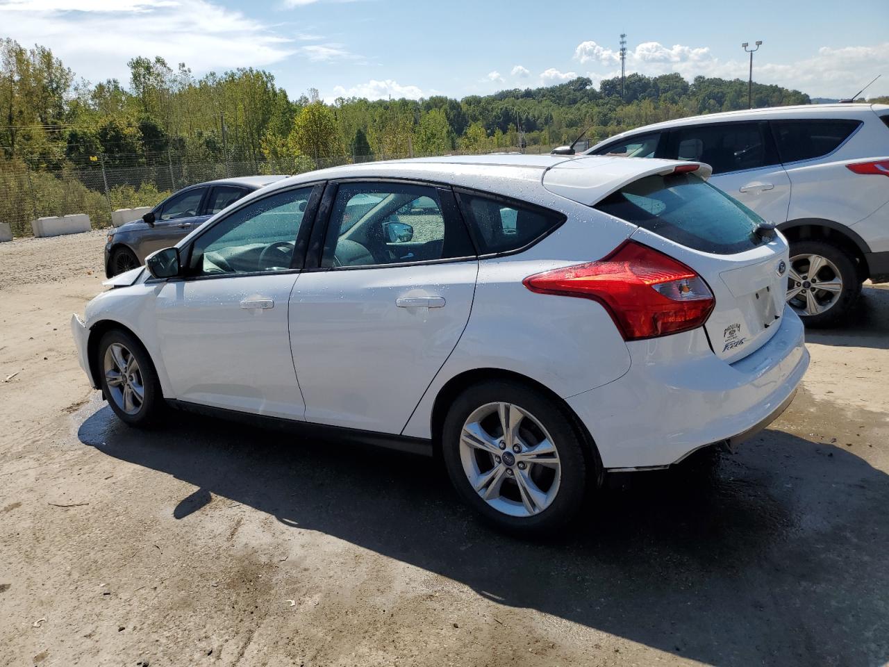 Lot #2921779521 2013 FORD FOCUS SE