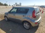 KIA SOUL + photo