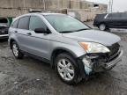 HONDA CR-V EX photo