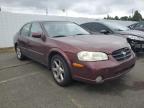 NISSAN MAXIMA GXE photo