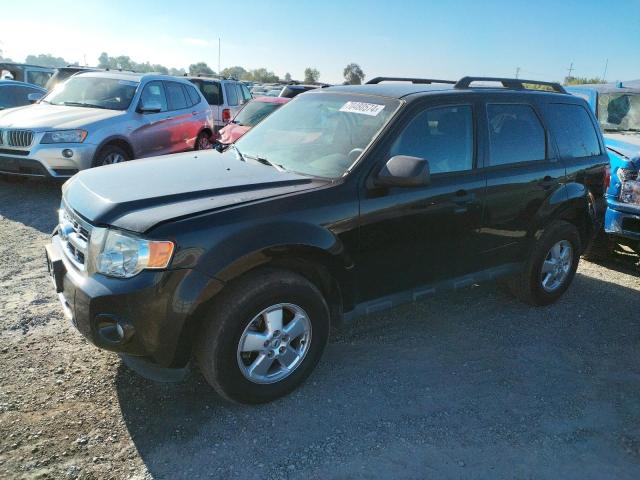 2012 FORD ESCAPE XLT 2012