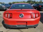 FORD MUSTANG photo