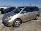 HONDA ODYSSEY EX photo