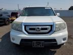 HONDA PILOT EXL photo