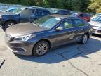 2016 HYUNDAI SONATA SE - 5NPE24AF3GH324468