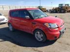 KIA SOUL + photo