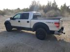 FORD F150 SUPER photo