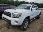 TOYOTA TACOMA DOU photo