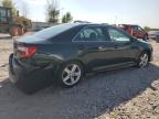 TOYOTA CAMRY L photo