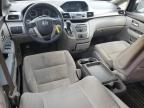 HONDA ODYSSEY LX photo