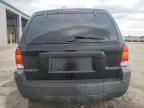 FORD ESCAPE XLT photo