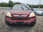 HONDA CR-V EX photo