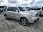 HONDA PILOT EXL photo