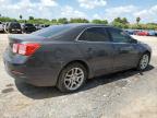 CHEVROLET MALIBU 1LT photo