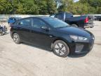 HYUNDAI IONIQ BLUE photo