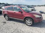 HONDA CR-V EXL photo