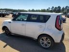 KIA SOUL + photo