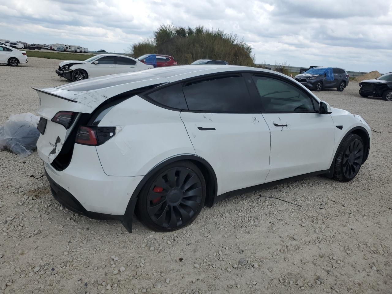 Lot #3016773147 2022 TESLA MODEL Y