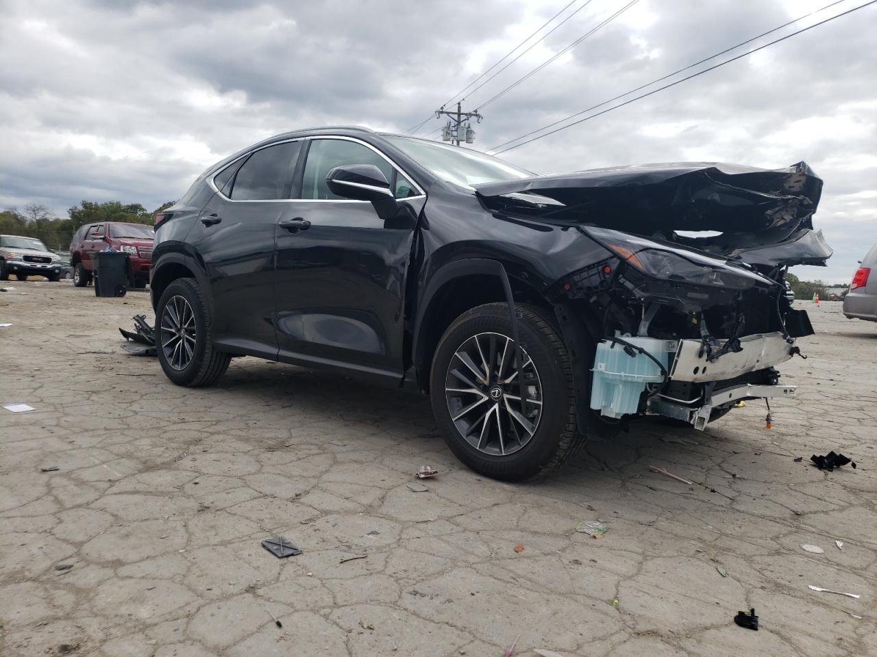 Lot #2974751095 2024 LEXUS NX 250 BAS