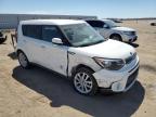 KIA SOUL + photo