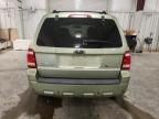 FORD ESCAPE HEV photo