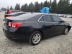 CHEVROLET MALIBU LS photo