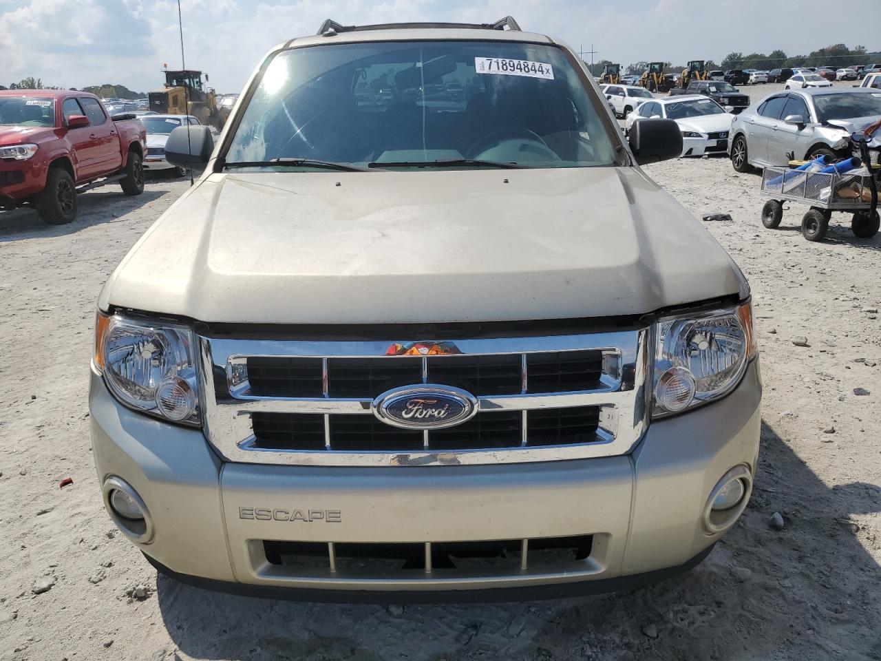 Lot #3048342725 2010 FORD ESCAPE XLT