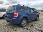 FORD ESCAPE XLT photo