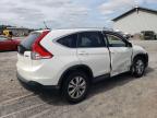 HONDA CR-V EXL photo