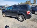 FORD ESCAPE XLT photo