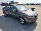 KIA FORTE EX photo