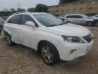 LEXUS RX 350 photo