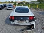 Lot #2945805620 2020 FORD MUSTANG