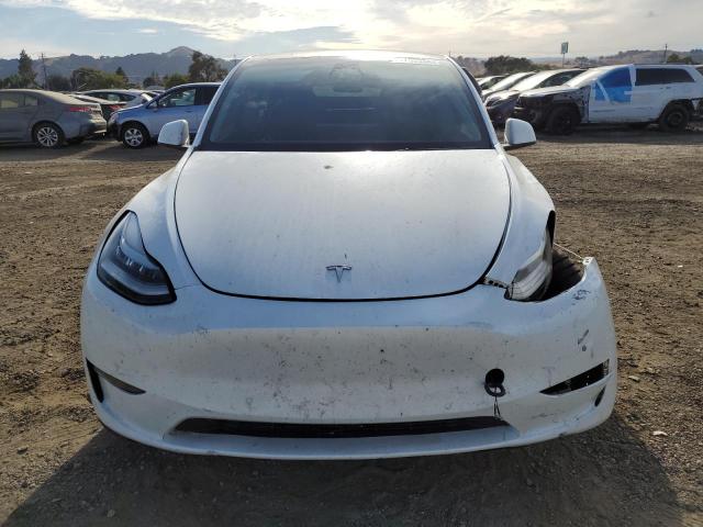 2023 TESLA MODEL Y - 7SAYGDEE6PF583151