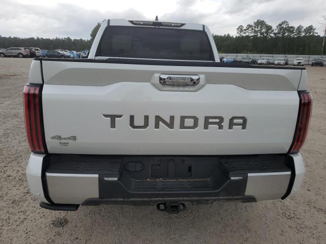 2023 TOYOTA TUNDRA CRE - 5TFVC5DB5PX029632