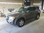 FORD ESCAPE XLT photo