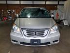 HONDA ODYSSEY EX photo