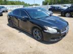 NISSAN MAXIMA S photo