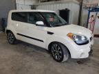 KIA SOUL + photo