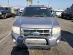 FORD ESCAPE XLT photo