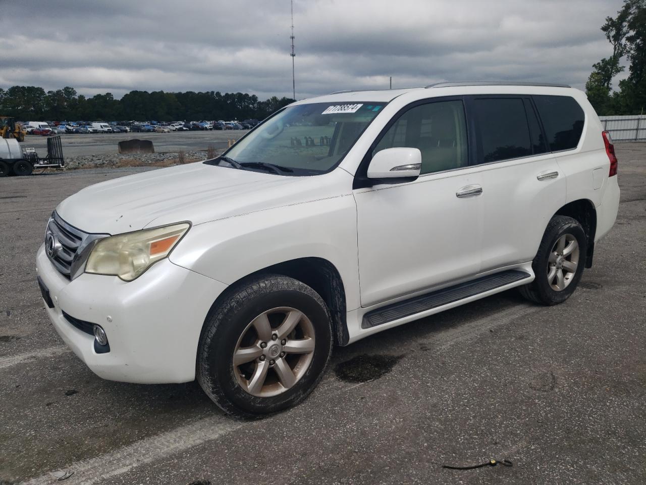 Lot #2942929318 2010 LEXUS GX 460