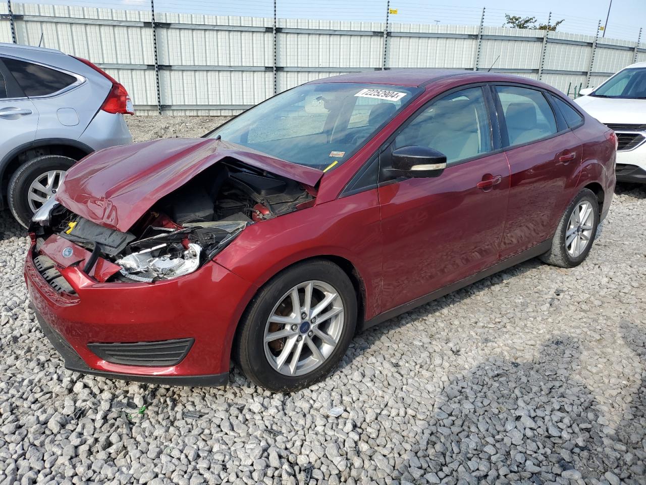 Lot #2923404532 2016 FORD FOCUS SE