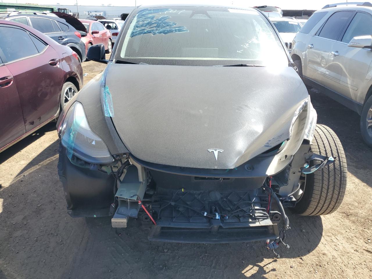 Lot #3004365726 2023 TESLA MODEL Y