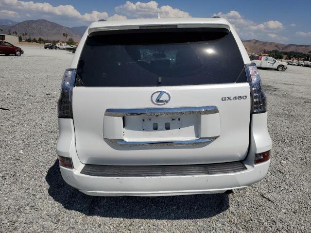 VIN JTJBM7FX3K5228233 2019 Lexus GX, 460 no.6