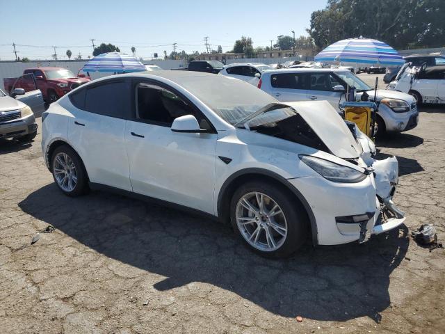 2020 TESLA MODEL Y - 5YJYGDEF1LF019925