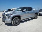 2023 TOYOTA TUNDRA CRE - 5TFJC5DB1PX028931
