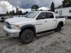 DODGE RAM 1500 photo