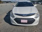 HYUNDAI SONATA HYB photo