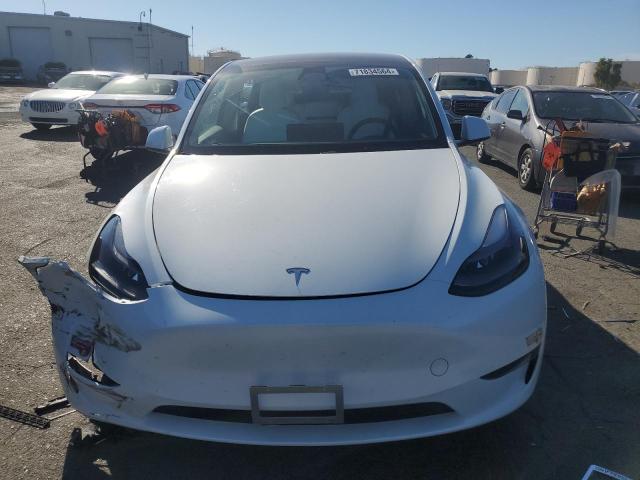 2023 TESLA MODEL Y - 7SAYGDEE4PF747464