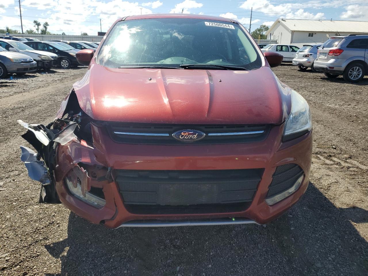 Lot #2902485924 2014 FORD ESCAPE SE